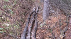 Logs have been placed in the ditch, which is no longer in use, to help stabilize the hillside and rehabilitate the area - Scott Hummer