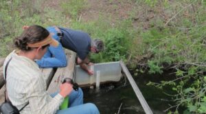 Measuring the flow on McKinley Ditch