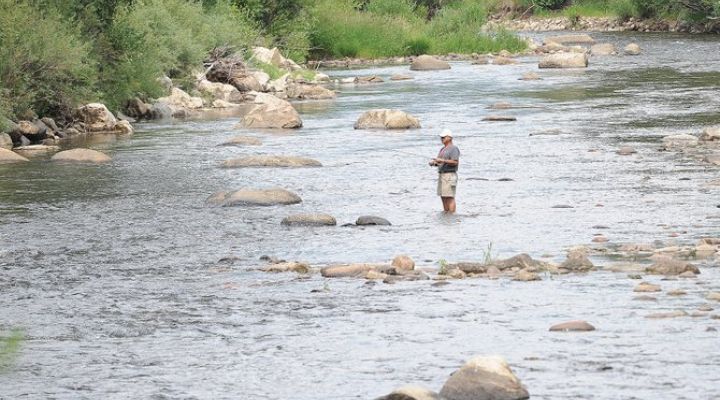 Colorado Parks and Wildlife biologist encourages fishing Yampa River in mornings
