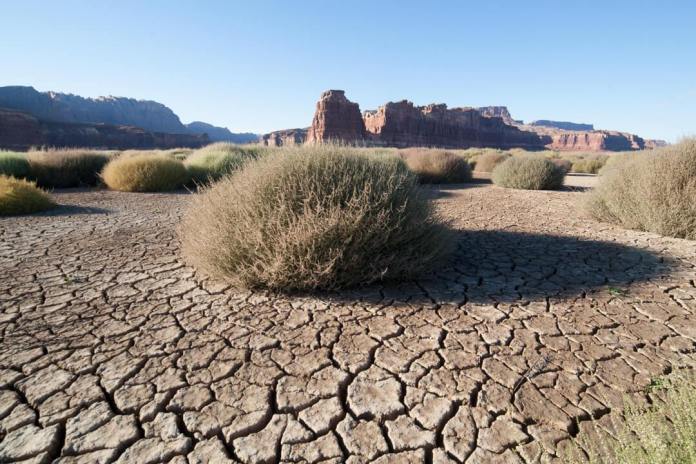 PARCHED: Climate change and growth pushing CO toward a water crisis