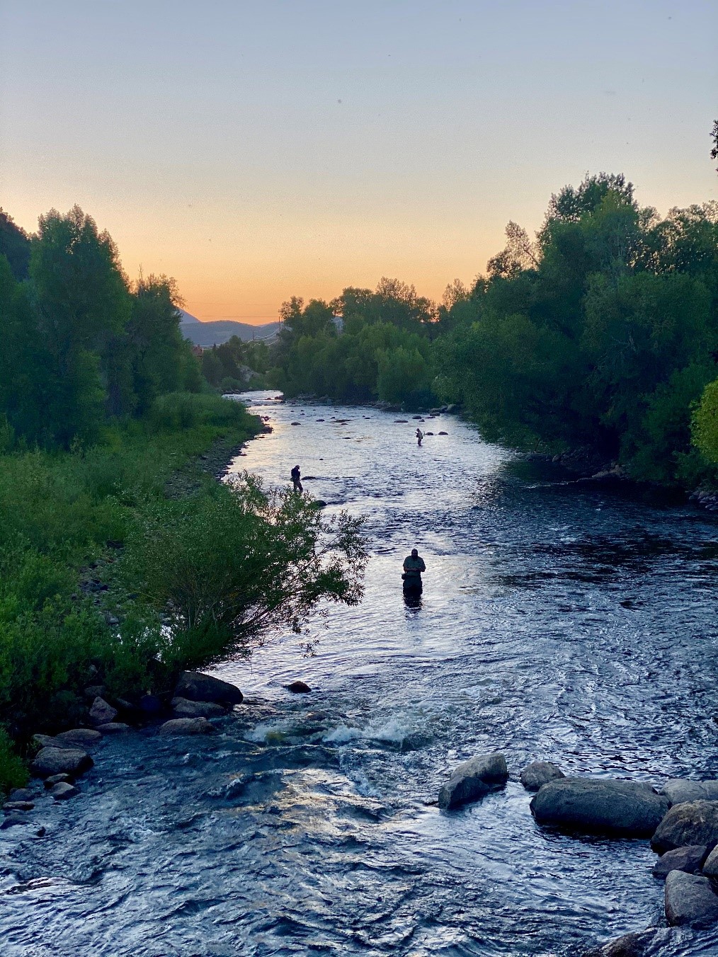 The Yampa River downtown Steamboat Springs July 2020 by Dana Dallavalle