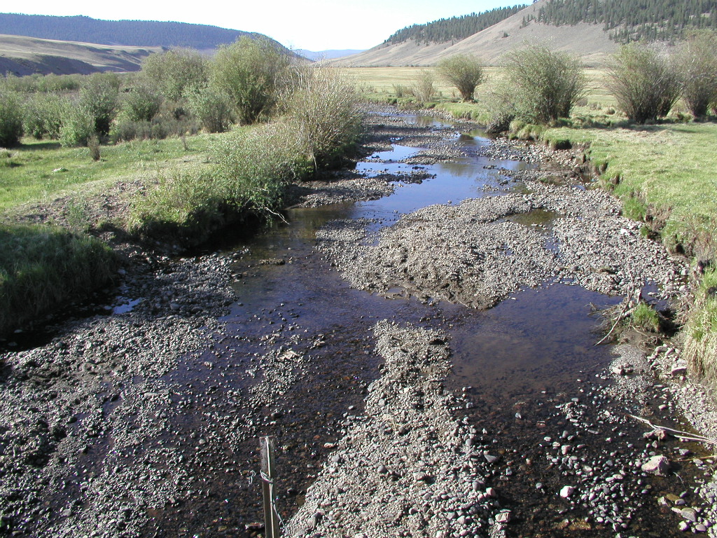 Cochetopa Creek during drought