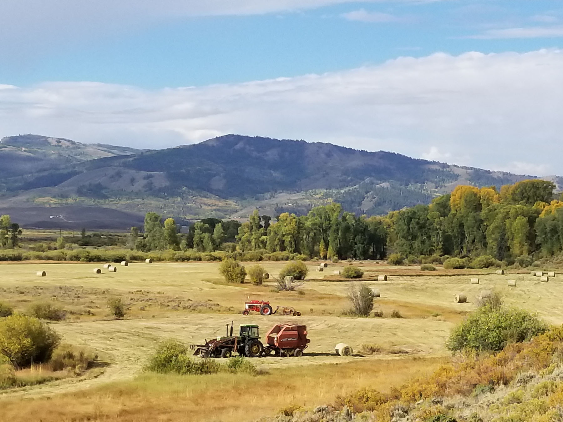 Confluence Ranch Hay Crop
