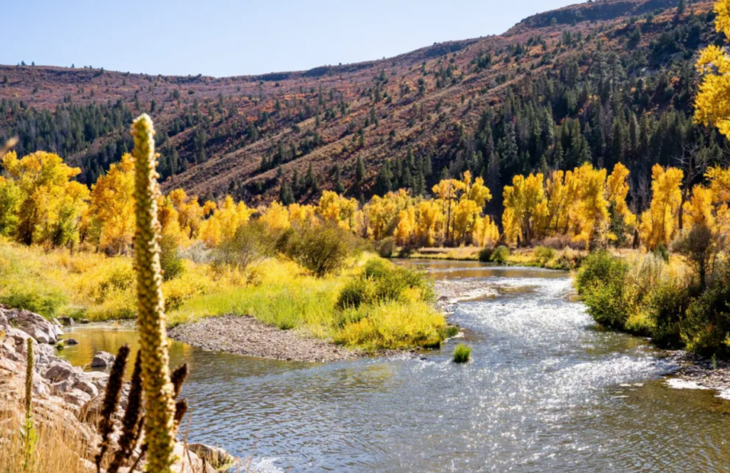 An Unlikely Coalition to Protect Colorado’s Dolores River