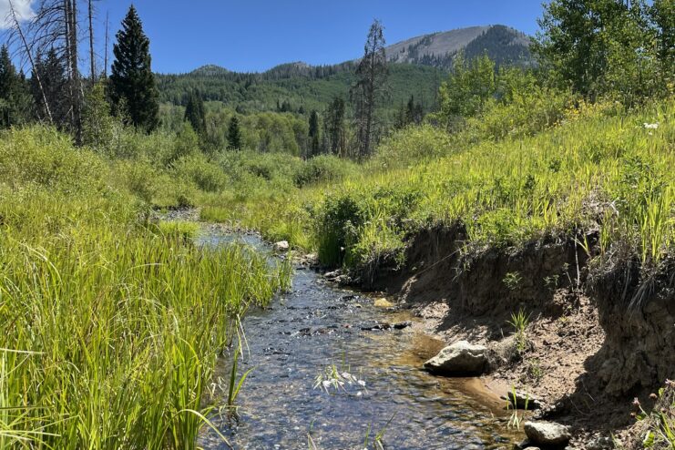 Slater Creek on a sunny day with mountains in the background