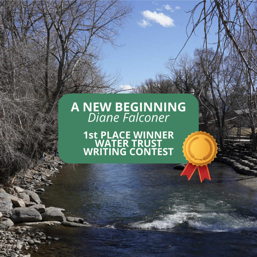 Water Trust Writing Contest: A New Beginning