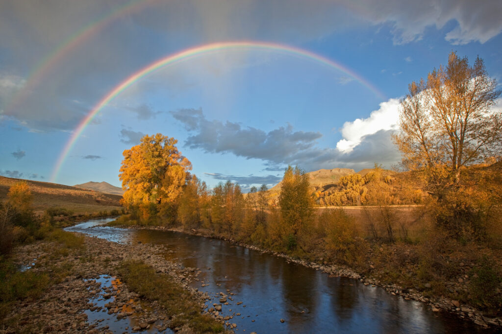 Community Agriculture Alliance: Fall flowing through the valley