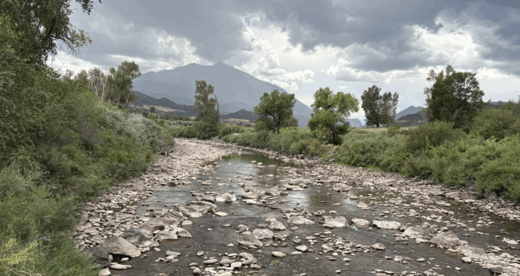 Low river flows trigger calls, closures, stressed fish