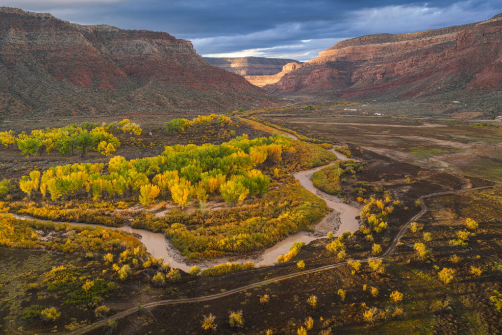 Ranching in a Drying West: Water Sharing & the Future of Western Agriculture